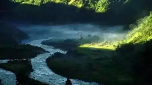 燃烧吧大脑免广告最新版