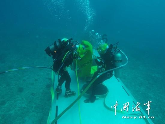 体育生报志愿用总分还是文化分?问答-全网最全最快的问答平台