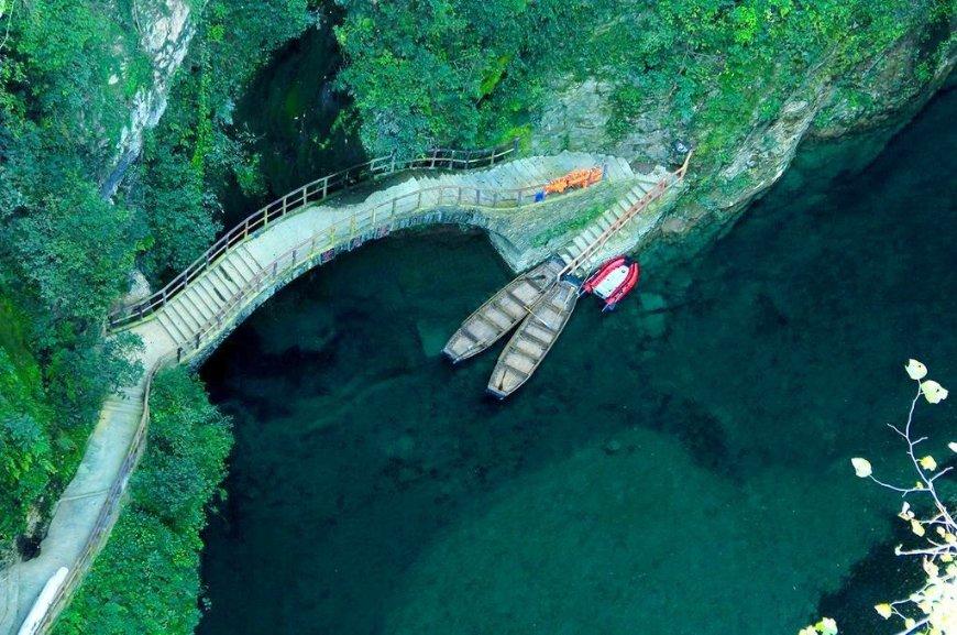 动物帮帮忙保卫家园